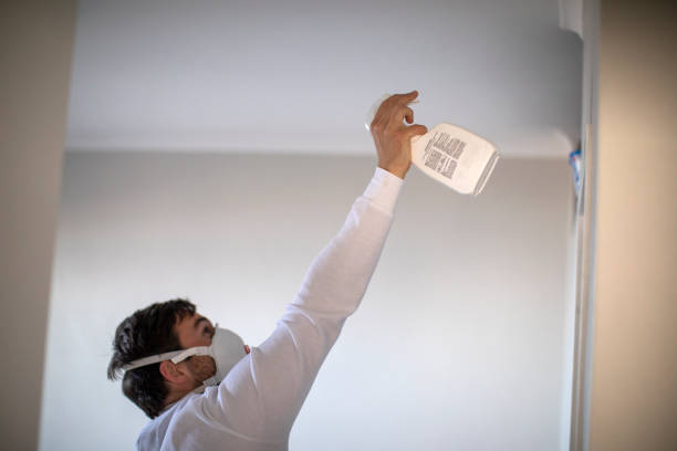 Best Mold Remediation Experts  in Taneytown, MD